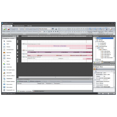 Timex RD, Модуль дизайнера отчетов 